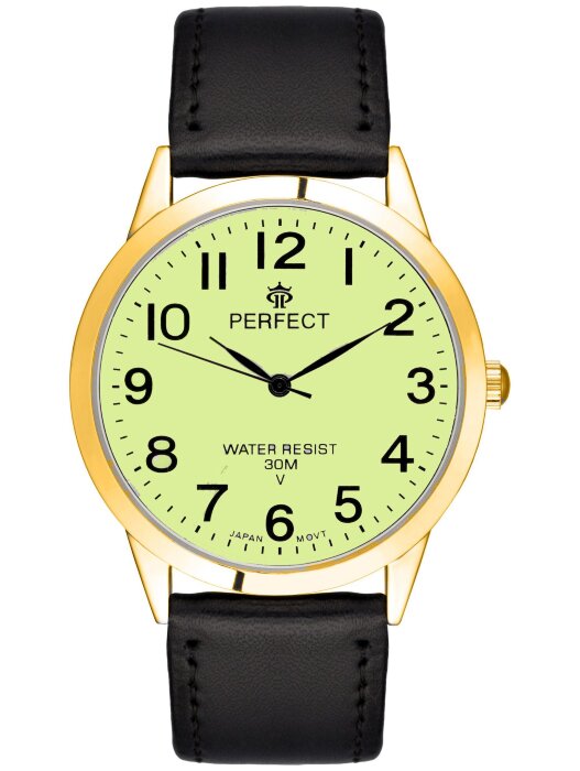 Наручные часы PERFECT GX017-194-204