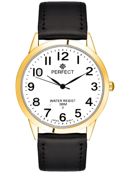 Наручные часы PERFECT GX017-194-254