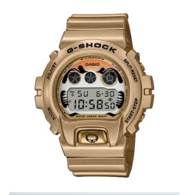 DW-6900GDA-9D