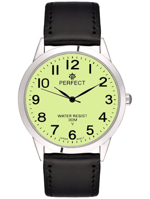 Наручные часы PERFECT GP017-194-104