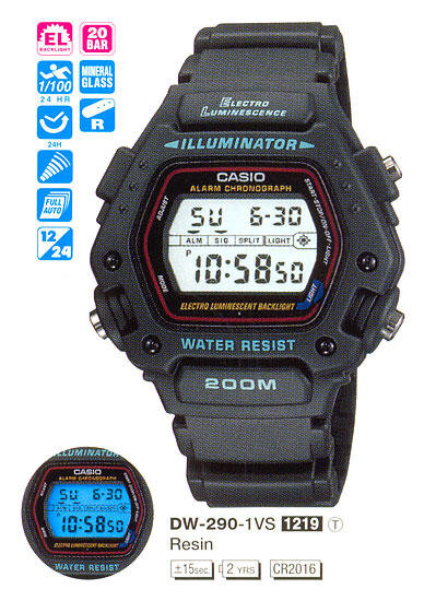 Наручные часы CASIO DW-290-1V