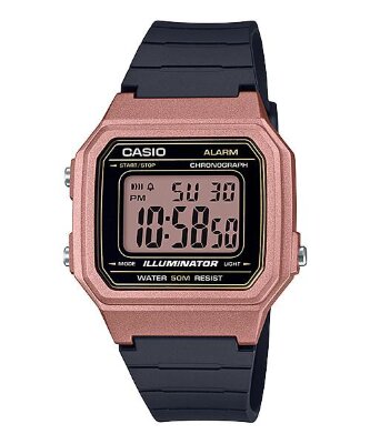 CASIO W-217HM-5A