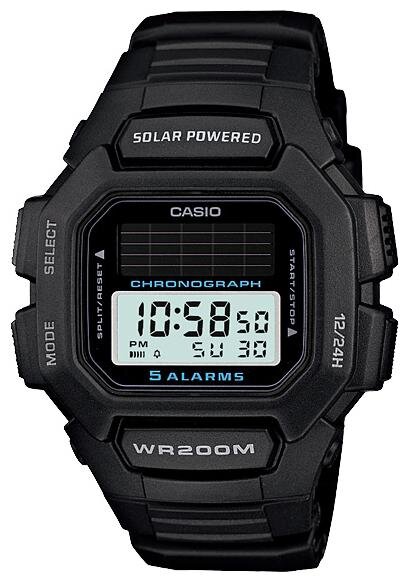 Наручные часы CASIO HDD-S100-1A