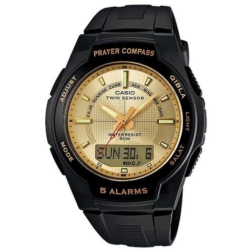 Наручные часы CASIO CPW-500H-9A